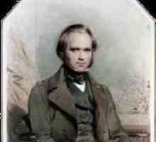 Znanstvenik Charles Darwin: biografija, teorija i otkriće. Charles Darwin: kratki biografija