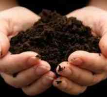 Gnojiva za vrt: u korist ekološke poljoprivrede