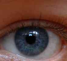 UV Institut za očne bolesti. Ufa Istraživački institut o bolestima oka