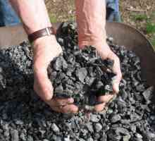 Ugljen: vađenje u Rusiji i svijetu. Mjesta i metode rudarstva