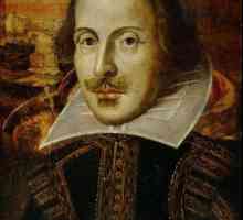 San snježne noći Williama Shakespearea: sažetak