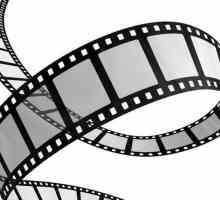 William Wyler, redatelj: biografija, najbolji filmovi