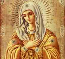 "Nježnost" je ikona Majke Božje. Molitva, značenje