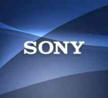 Smart gleda Sony: pregled, specifikacije. Pametan sat Sony SmartWatch 2: cijene i recenzije