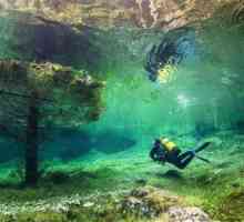 Jedinstveni zeleno jezero: Podvodni svijet u Austriji