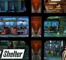 Jedinstveni znak Fallout: Shelter - Tajanstveni stranac