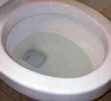 Toaletni zdjelica protiv protjecanja: vrste anti-prskanja i pregleda