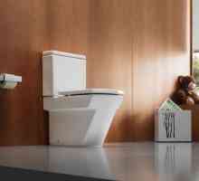 WC zdjele Sanit: recenzije. WC `Sanita-Lux`: recenzije