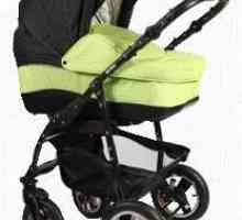 Univerzalni baby carriage `Verdi Zippy` (opis i mišljenja)