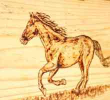 Lekcije Samodelkin: kako napraviti suvenir `konja` vlastite ruke