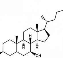 Ursodeoksikolna kiselina: upute za uporabu, analozi, recenzije
