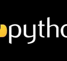 Uvjetna izgradnja. Python: prostranost i jednostavnost jezika