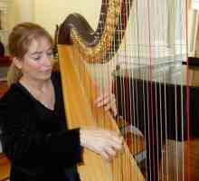 Uređaj za glazbene instrumente: koliko stringova ima harfu?