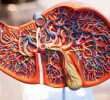 Proširenje jetre: simptomi i liječenje, uzroci, prevencija