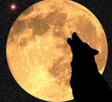Saznajte zašto vukovi zapravo zavijaju na Mjesecu