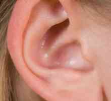 Koji je razlog za punjene uši?