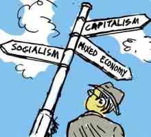 Koje su značajke funkcioniranja različitih ekonomskih sustava: socijalni aspekt