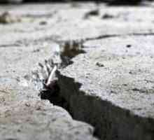 U Irkutskom, potres koji je zabrinjavao cijeli grad