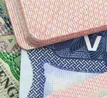 Koje zemlje trebaju tranzitnu vizu i kako ga dobiti?