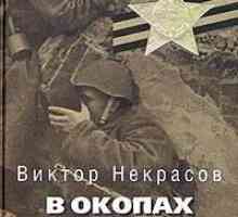 `В окопах Сталинграда`: краткое содержание по главам, анализ