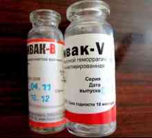 Vaccine `Rabbivac V`: upute za uporabu, sastav, analoge, doze