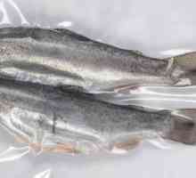 Vakuumska ambalaža ribe - jamstvo dugoročnog očuvanja