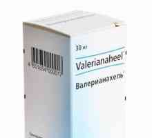 "Valerianahel": upute za uporabu. Recenzije o homeopatskom lijeku