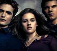 Vampirska saga `Twilight`: knjige u redu
