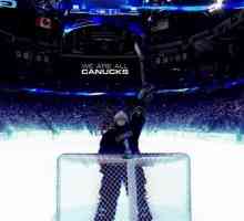Vancouver Canucks - "kitovi ubojica" iz Vancouvera: sastav, oblik, povijest