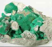 Variscite: svojstva kamena su čarobna i ljekovita. Kamenje po horoskopu
