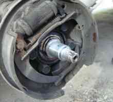 VAZ-2114: zamjena ležaja kotača (uputa). Rezervni dijelovi za VAZ-2114