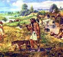 Najvažniji izumi i otkrića primitivnih ljudi: opis, povijest i zanimljive činjenice
