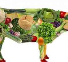 Vegetarijanac je ... Veganski i vegetarijanski: razlika, značajke prehrane i zanimljive činjenice