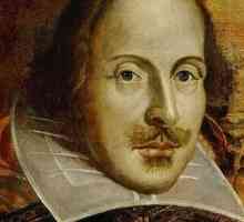 Veliki čovjek i njegova biografija. William Shakespeare