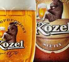 `Velkopopovitskiy Kozel`: povijest, producent i recenzije češkog piva