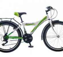 Bicikl `Formula` - omiljeni na tržištu u kategoriji proračuna
