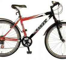 Bicycle Stels Navigator 600: specifikacije, upute, recenzije, fotografije
