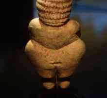 Venus Willendorf: opis, veličina, stil. Venus Willendorf 21. stoljeće