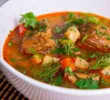 Mađarska juha-gulaša: recept. Kako kuhati mađarsku gulašnu juhu?