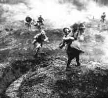 "Verdun mesarski mesar" Prvog svjetskog rata. Što se dogodilo u Verdunu 1916. godine?