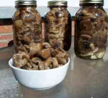 Korejske gljive kamenica: recepti za ukusan snack