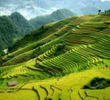 Vijetnam u siječnju: vrijeme, odmarališta, putničke recenzije