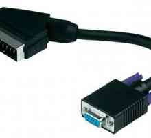 VGA-SCART adapter. SCART-VGA adapter: značajke, recenzije, cijena