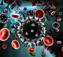 HIV: dijagnoza i liječenje, prevencija