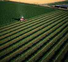 Vrsta dopuštene uporabe poljoprivrednog zemljišta. Federalni zakon o cirkulaciji poljoprivrednog…