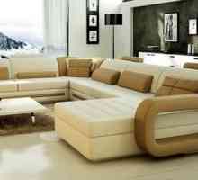 Vrste sofe. Vrste preklopnih sofe. Vrste transformacije sofe