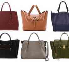Vrste i stilovi vrećica: opis, klasifikacija. Ženske torbe i stil