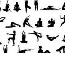 Vrste yoga: osobitosti