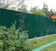 Vrste ograda: pregled struktura i materijala