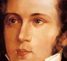 Vincenzo Bellini, talijanski skladatelj: biografija, kreativnost